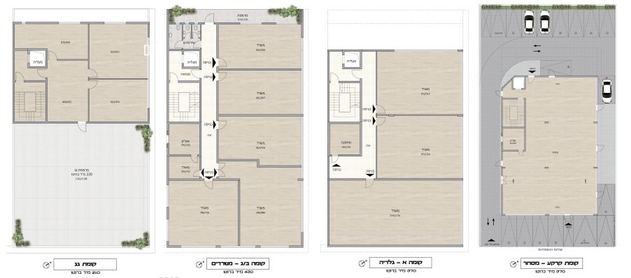 צילום מסך 2024-12-11 094708