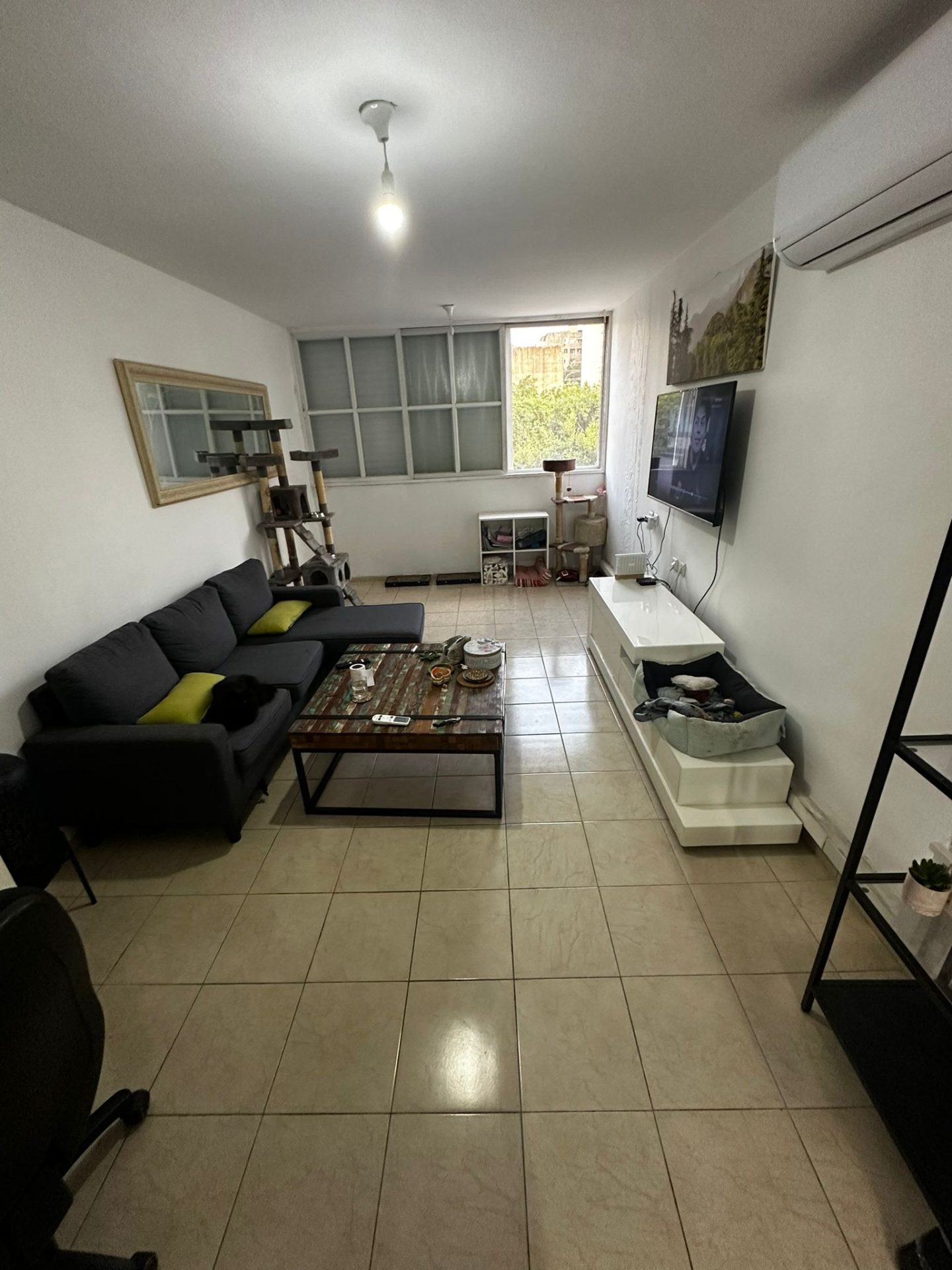 787e407d-c510-4e83-a8a0-c46623b3337b