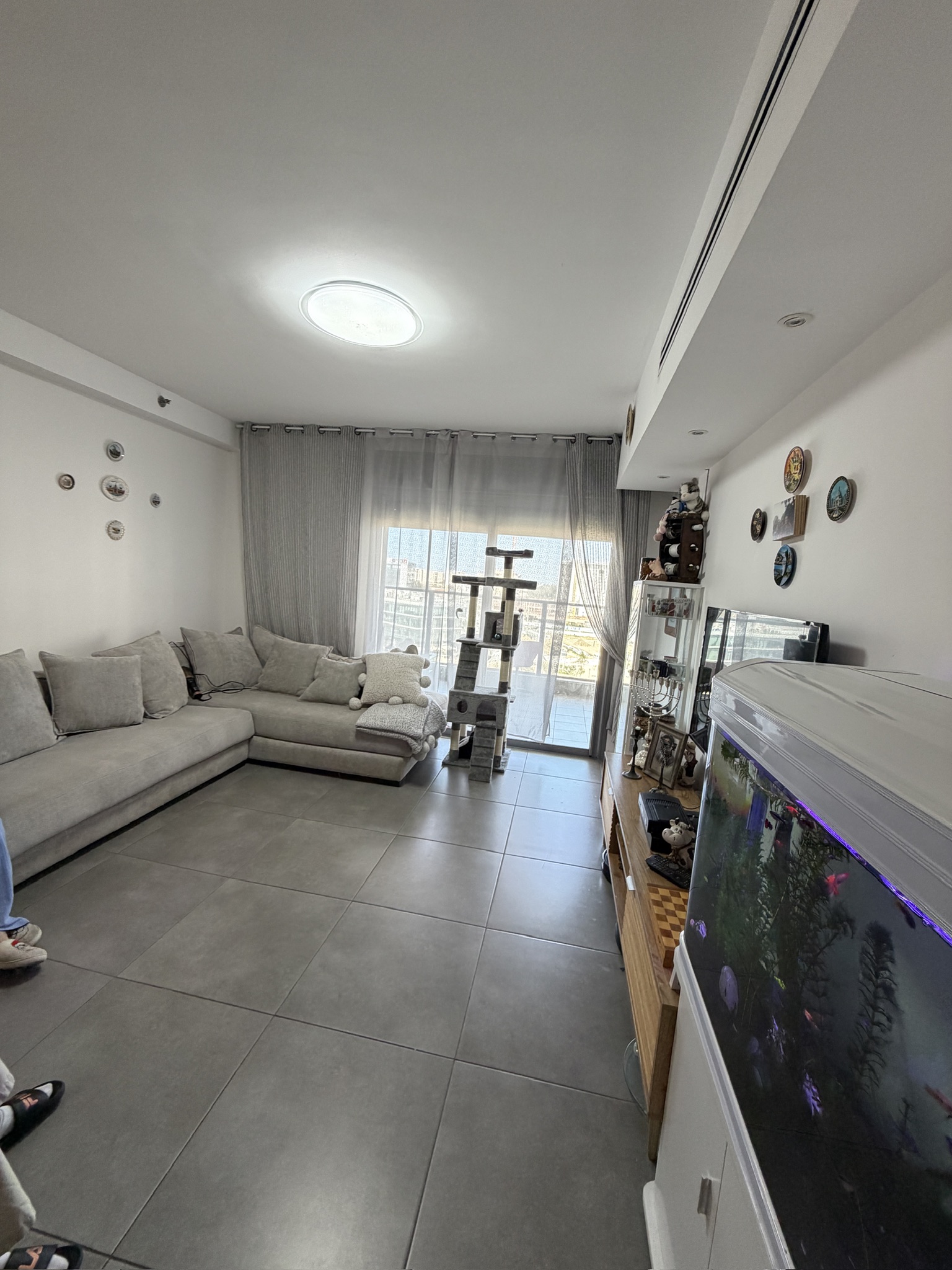 595B4443-5B22-4F09-95C4-1C739593986E_1_102_o